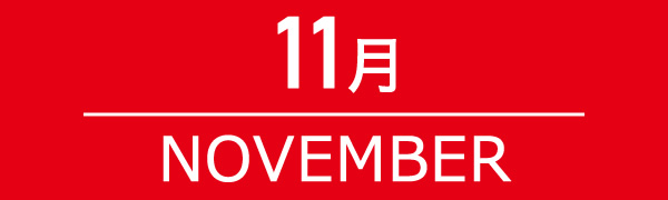 11月